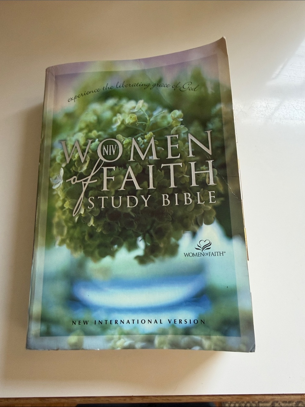 NIV Study Bible - Green Floral Edition
